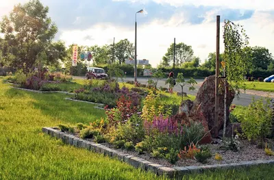 Anna Konowalczuk-Żołud Agroflora ZIELONY OŁÓWEK